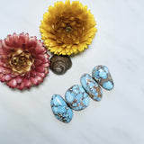 Large Sky Blue Freeform Golden Hills Turquoise, Set of 4 Background