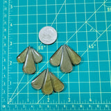 Large Swamp Green Teardrop Rosarita, Set of 9 Dimensions
