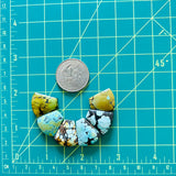 Medium Mixed Freeform Mixed Turquoise, Set of 6 Dimensions