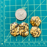 Large Royal Orange Freeform Treasure Mountain Turquoise, Set of 4 Dimensions