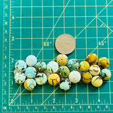Small Mixed Round Mixed Turquoise, Set of 21 Dimensions