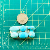 Medium  Sky Blue Freeform Sleeping Beauty Turquoise, Set of 6 Dimensions