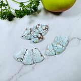 Medium Faint Blue Petal Sand Hill Turquoise, Set of 9 Background