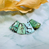 Large Mixed Petal Wild Horse Turquoise, Set of 4 Background