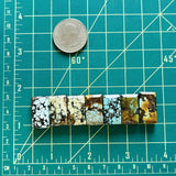 Medium Mixed Bar Mixed Turquoise, Set of 7 Dimensions