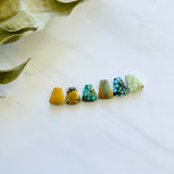Small Mixed Freeform Mixed Turquoise, Set of 6 Background