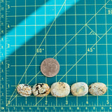 Medium Earth Brown Nugget Wild Horse, Set of 5 Extra