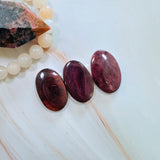 Medium Purple Oval Spiny Oyster, Set of 3 Background