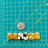 Medium Royal Orange Barrel Treasure Mountain Turquoise, Set of 6 Dimensions