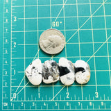 Medium White Mixed White Buffalo Dolomite, Set of 4 Dimensions