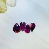 Large Purple Teardrop Spiny Oyster, Set of 4 Background