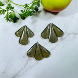 Large Swamp Green Teardrop Rosarita, Set of 9 Background