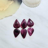Large Purple Teardrop Spiny Oyster, Set of 6 Background