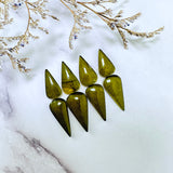 Medium Swamp Green Teardrop Rosarita, Set of 8 Background