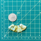 Medium Sea Green Petal Crescent Lake Variscite, Set of 4 Dimensions