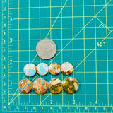 Medium Mixed Round Royston Turquoise, Set of 8 Dimensions