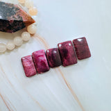 Medium Purple Bar Spiny Oyster, Set of 5 Background