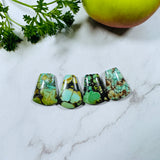 Medium Mixed Petal Mixed Turquoise, Set of 4 Background
