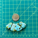 Medium Sky Blue Petal Yungai Turquoise, Set of 4 Dimensions