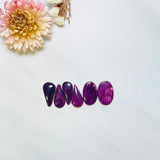 Medium Purple Mixed Spiny Oyster, Set of 6 Background