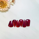 Large Red Mixed Rosarita, Set of 6 Background