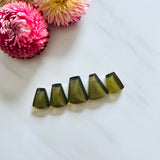 Medium Swamp Green Freeform Rosarita, Set of 5 Background