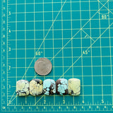 Medium Mixed Barrel Wild Horse Turquoise, Set of 5 Dimensions