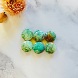 Medium Sea Green Round Crescent Lake Variscite, Set of 6 Background
