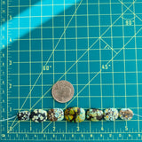 Medium Sea Green Nugget Giraffe, Set of 7 Extra