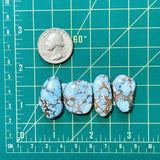 Large Sky Blue Freeform Golden Hills Turquoise, Set of 4 Dimensions