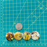 Large Royal Orange Round Treasure Mountain Turquoise, Set of 4 Dimensions