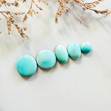 Medium Sky Blue Mixed Sleeping Beauty Turquoise, Set of 5 Background