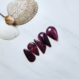 Large Purple Mixed Spiny Oyster, Set of 5 Background