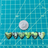 Medium Sea Green Heart Yungai Turquoise, Set of 6 Dimensions