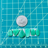 Medium Mint Green Mixed Lucid Variscite, Set of 6 Dimensions