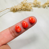8x10mm Teardrop Spiny Oyster, Set of 2