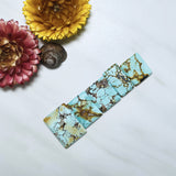 Large Sky Blue Bar Wild Horse Turquoise, Set of 5 Background