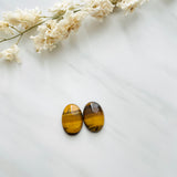 Medium Earth Brown Oval Tiger Eye Crystal, Set of 2 Background