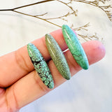8x32mm Surfboard Green Egyptian, Set of 1