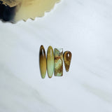 Large Sea Green Mixed Crescent Lake Variscite, Set of 4 Background