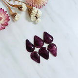 Medium Purple Teardrop Spiny Oyster, Set of 6 Background