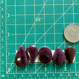 Medium Purple Mixed Spiny Oyster, Set of 5 Dimensions