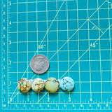 Medium Mixed Round Mixed Turquoise, Set of 4 Dimensions