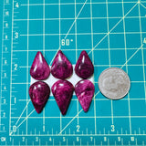 Large Purple Teardrop Spiny Oyster, Set of 6 Dimensions