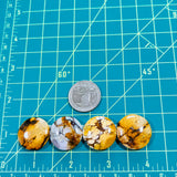 Medium Royal Orange Round Purple Lavender Variscite, Set of 4 Dimensions