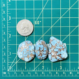 Large Sky Blue Freeform Golden Hills Turquoise, Set of 3 Dimensions