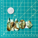 Large Sea Green Mixed Crescent Lake Variscite, Set of 5 Dimensions