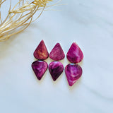 Medium Purple Teardrop Spiny Oyster, Set of 6 Background