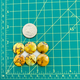 Medium Royal Orange Round Treasure Mountain Turquoise, Set of 6 Dimensions