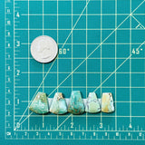 Medium Mixed Petal Mixed Turquoise, Set of 5 Dimensions